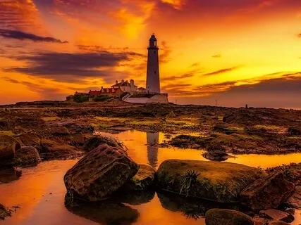 Overcome The Storm Of Fear