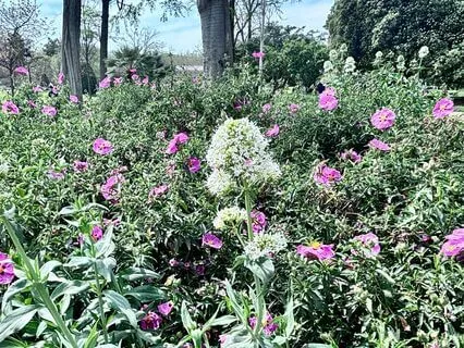 Overcoming Conflict In Relationships Affirmations