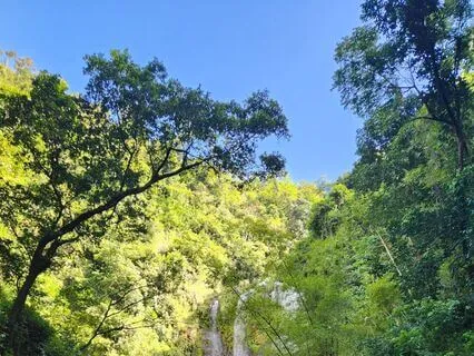 Overcoming Fear Of Failure And Procrastination