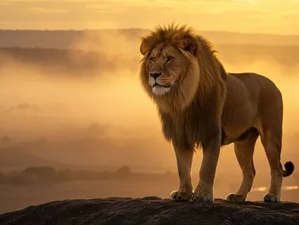 Overcoming Fear Through Active Imagination