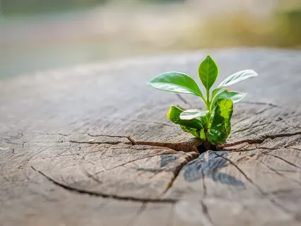 Overcoming Fear Through Focus