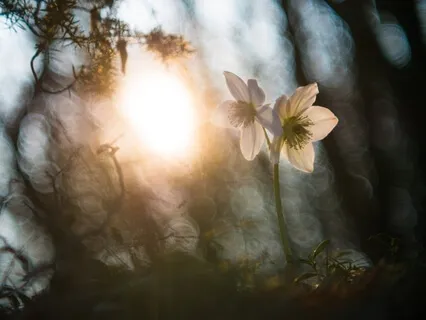 Overcoming Fears When We Meditate