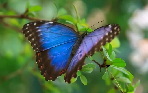 Overcoming Grief With Compassion