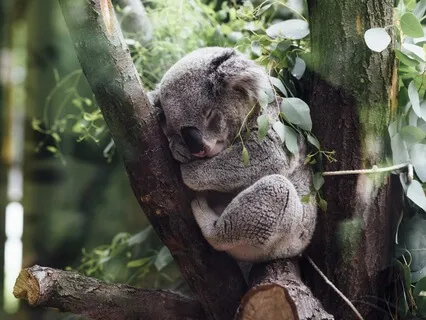 Deep Sleep Meditation For Overcoming Insomnia