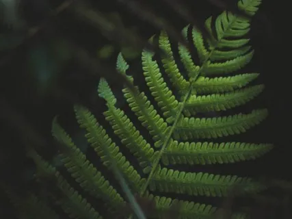 Overcoming Intrusive Thoughts  - 20-Minute Daily Insight