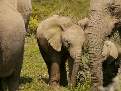 Overcoming Limiting Beliefs Meditation | Self-Compassion