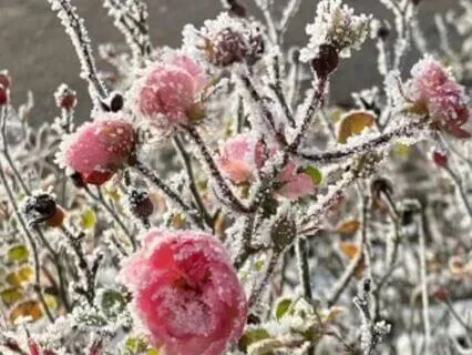 Overcoming Narcissistic Abuse: "Don't Be Ashamed"