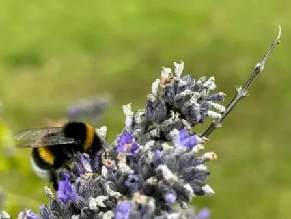 Overcoming Narcissistic Abuse: Endings