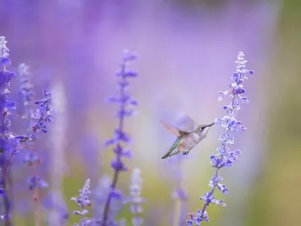 Overcoming Overthinking And Boosting Productivity