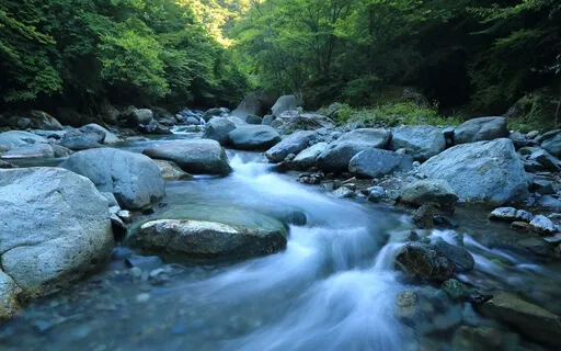 Overcoming Overwhelm