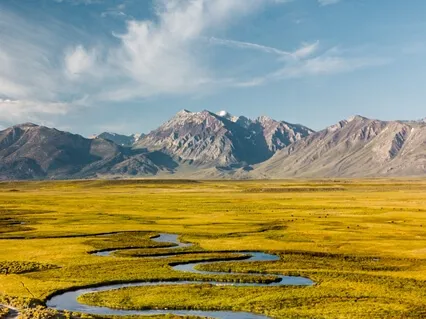 Overcoming Perfectionism