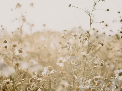 Overcoming Procrastination