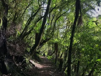 Overcoming Resistance To Asking For Help