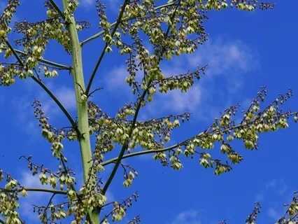 Overcoming Self-Hate: Guided Breathing With Live Music