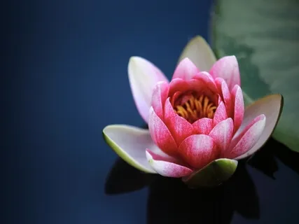 Overcoming Self-Judgment