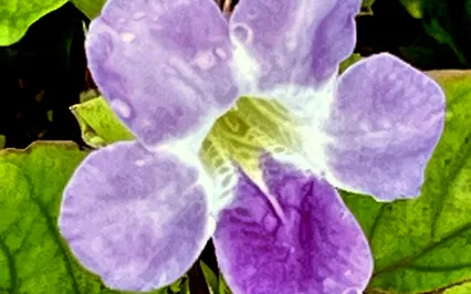 Overcoming Sensory Overload