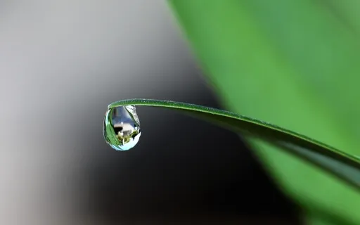 Overcoming Stress And Anxiety With 432 Hz