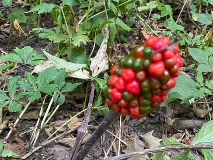 Overcoming The Past Short Meditation