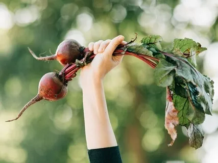 Overcoming Urges To Overeat