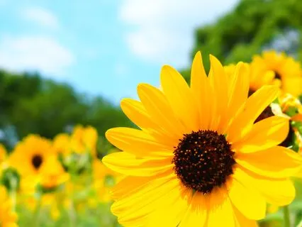 Overflowing Love And Light: A Heart-Centered Meditation