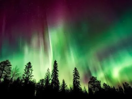 Overnight Health Affirmations