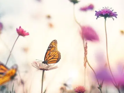 Overstimulated To Calm - Daily Practice For Beginners