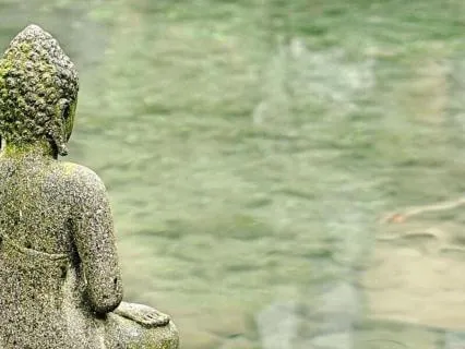 Overstimulated: Unplug Your Mind & Calm Your Nervous System