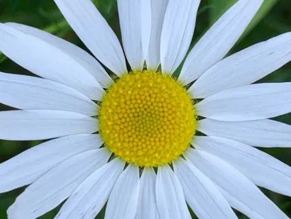 Overthinkers - When Your Mind Won’t Stop Ruminating