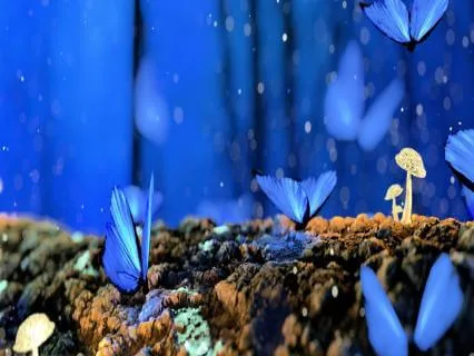 Overthinking Release Meditation Day 3