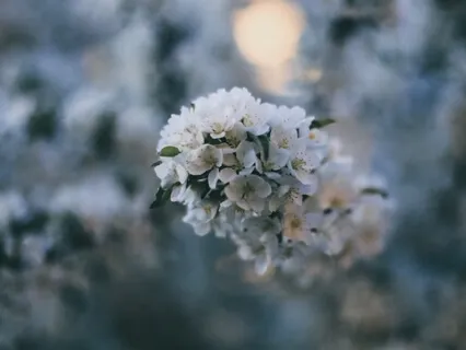 Overture Of Now - Energizing Sitar & Beats