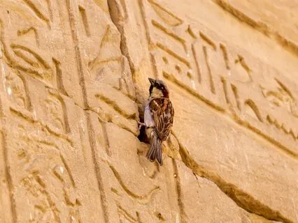 Overwhelm #1: What To Do When You Hit A Wall