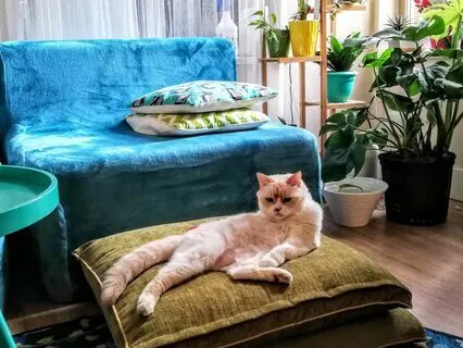 Overwhelm #3: Sleep Your Way To World Domination