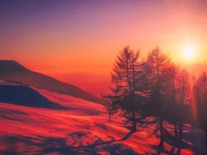 Overwhelm To Coherence: Clearing Inner Patterns