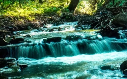 Overwhelmed & Stuck In Business - 4 Ways To Get Moving Again