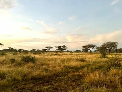 Overwhelmed - Christian Scripture & Prayer Meditation