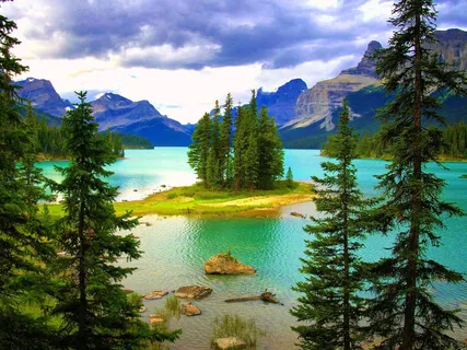 Overwhelmed (Extended)