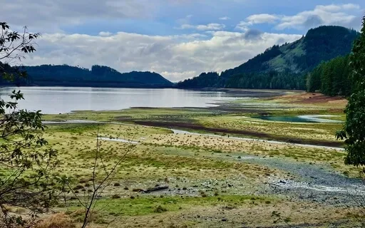 Overwhelmed - Responding With Prayer