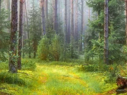 Overwhelmed? Return To Stillness | 19-Min Somatic Meditation