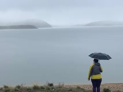 Overwhelming Thoughts