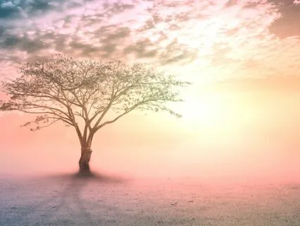 Own Your Spiritual Identity:  Candid Talk