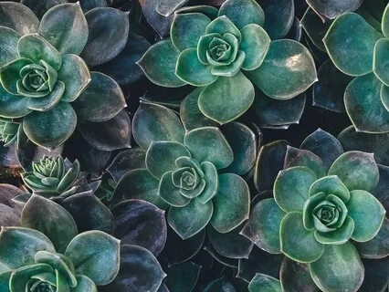 おやすみ前のリラックス瞑想 (Japanese)