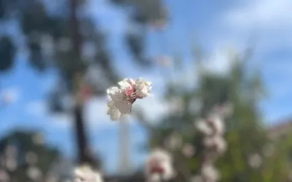 Oyoyo Nwa- Beautiful Child