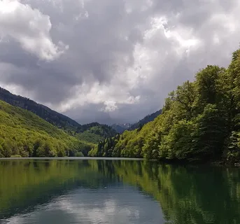 Озеро в Лесу