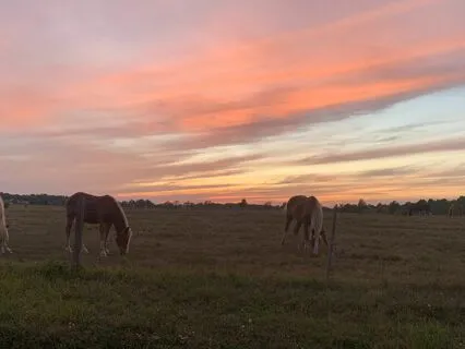 P.E.A.C.E. Breathing: A 5 Minute Strategy To Calm