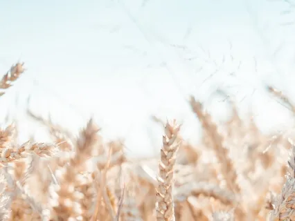 Медитация-танец «Принятие Изобилия»