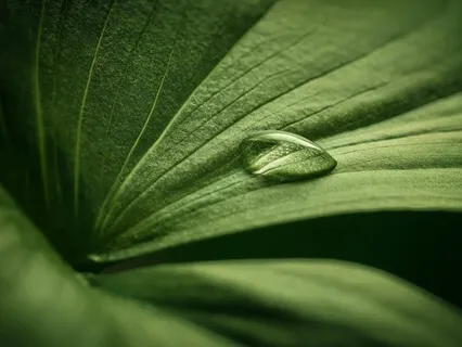 Pain Elimination Guided Audio For Headaches