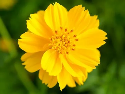 Pain, Endometriosis, And Art: Turning Struggles Into Beauty