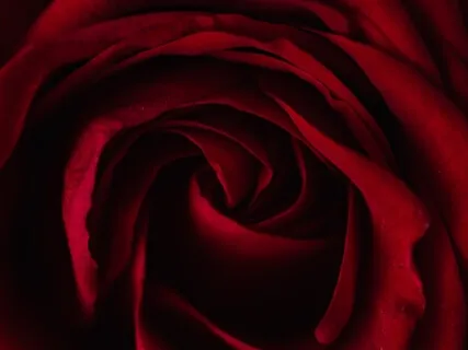 Pain Is A Cry For Help; Sickness Is A Cry For Rest!