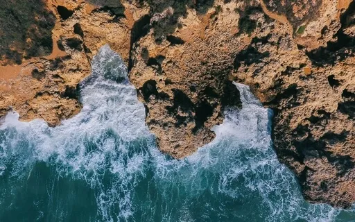 Pain Is A Problem For The Body, Not The Mind