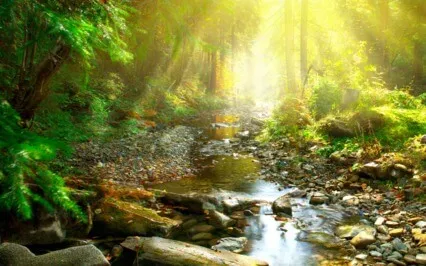 Pain Is Your Friend!